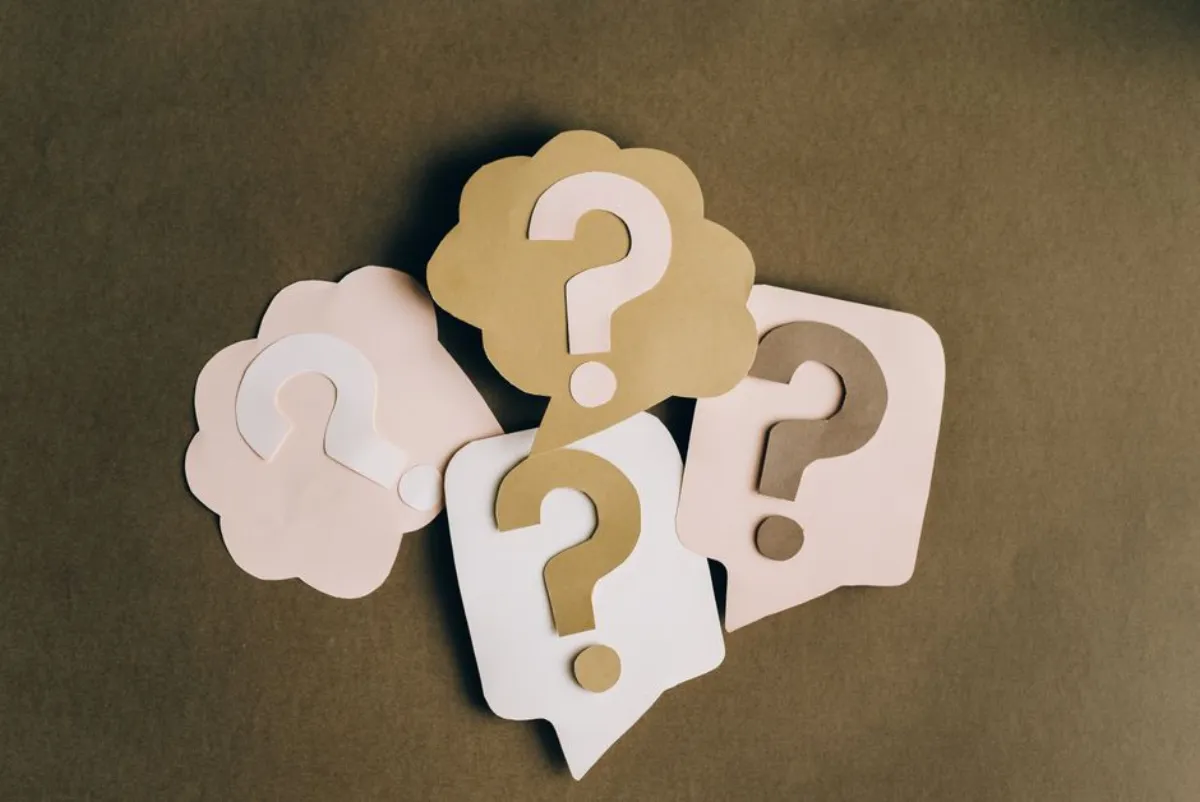 question search